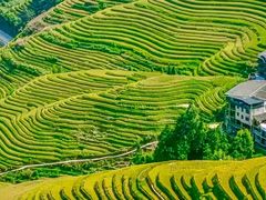 -龙脊梯田风景名胜区游客中心-停车场
