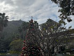 -仙岳公园
