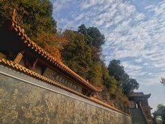 -照金香山旅游景区