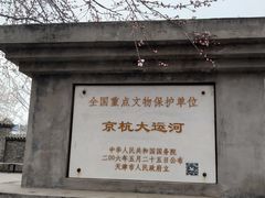 -桃花堤公园