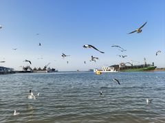 -海驴岛(荣成市)