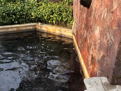 -天目湖涵田半山温泉