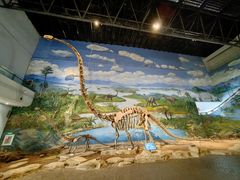 -自贡恐龙博物馆