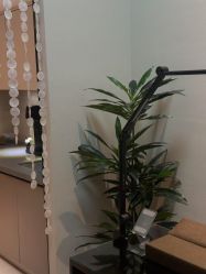 -Mo·Mo Nail 美甲美睫