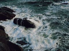 -广东惠东海龟国家级自然保护区