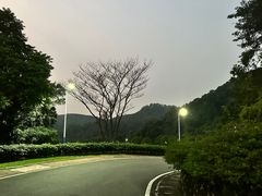 -火炉山森林公园