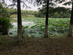 -艾溪湖湿地公园