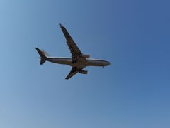 -空港花田景区