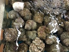 -008海鲜排档(朱家尖2号店)