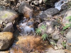 -三爪仑观音岩