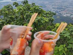 -紫金山山顶公园