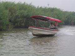 -白洋淀景区