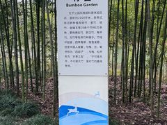 -昆山城市生态森林公园