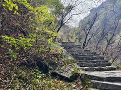 -少华山国家森林公园