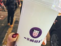 -一只酸奶牛(八一路店)