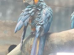 -石家庄市动物园