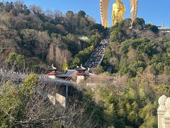 -庐山风景名胜区-东林大佛