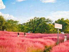 -云庭汇·粤菜海鲜(东盟盛天地店)
