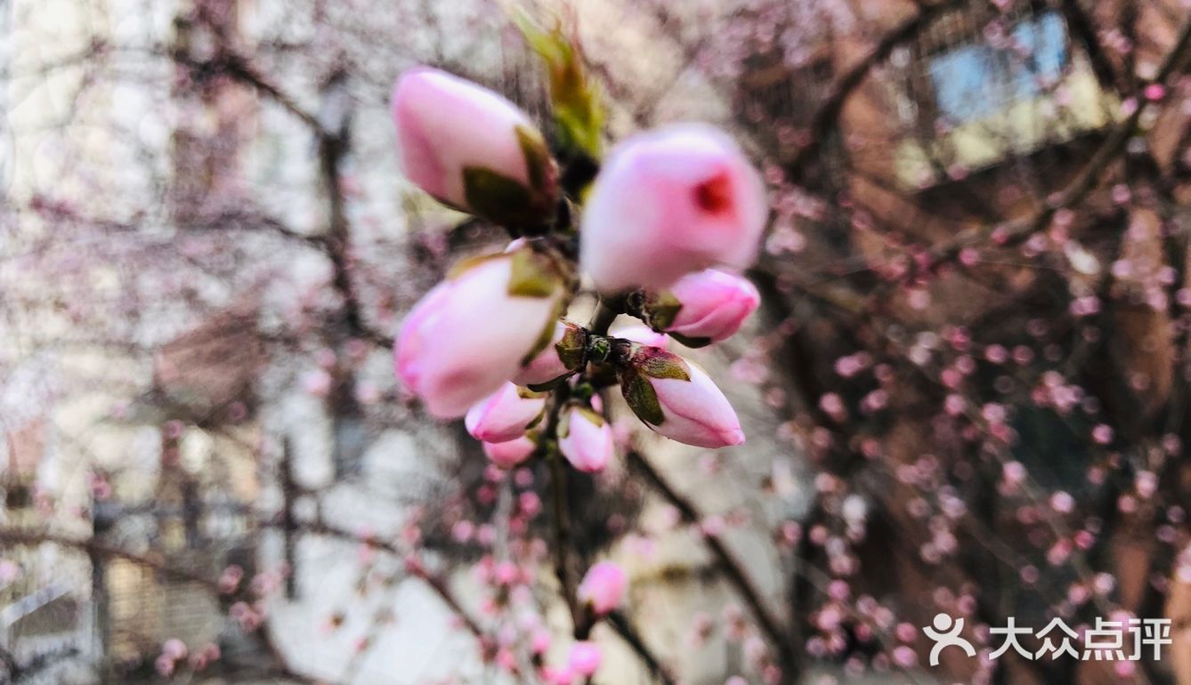 birthday开心下哈