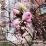 birthday开心下哈