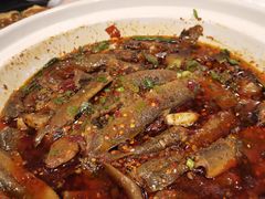 -情妹耙泥鳅·江湖川菜(科华店)