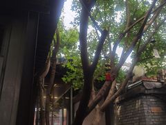 -VOYAGE COFFEE(杨梅竹店)