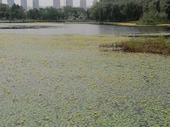 -仙女湖公园