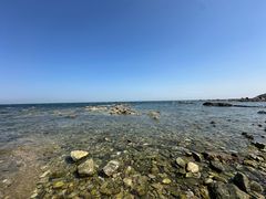 -养马岛旅游度假区