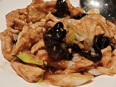 -凯鸽酒楼(大同振兴街店)