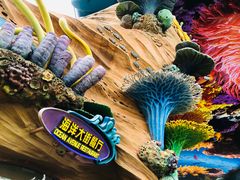 -长隆海洋王国-海洋大街餐厅
