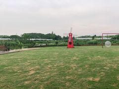 -美家乐农庄·露营·团建(大治路店)