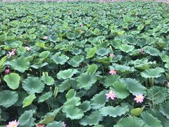 -北京天湖会议中心