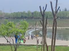 -洨河生态公园
