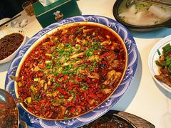 -新概念来凤鱼(璧山店)