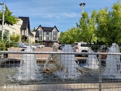 -海天一色海景自助餐厅(西港花园店)