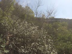 iphone_upload_pic-八达岭长城
