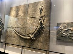-武汉园博园(武汉自然博物馆)
