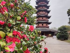 -盘门景区