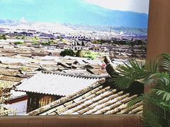 -云海肴·汽锅鸡·云南菜(广安门天虹店)