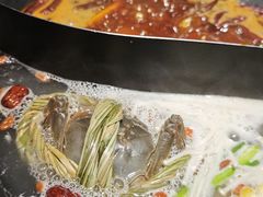 -阳阳老火锅(小南门店)