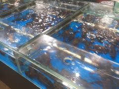 水产区-王四营海鲜市场