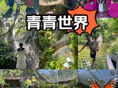 -青青世界