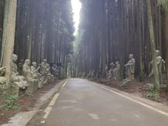 -武陵山森林公园