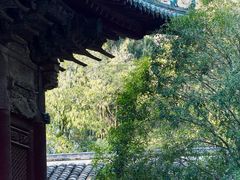 -报恩寺(平武县)