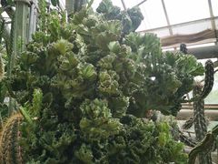 -南山植物园