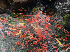 -水磨沟公园