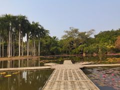 -中国科学院西双版纳热带植物园