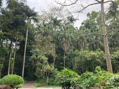 -广西壮族自治区药用植物园