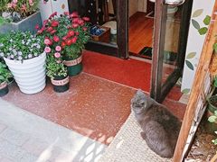 -Rabbit Cafe私房西餐甜点咖啡(栖霞路店)