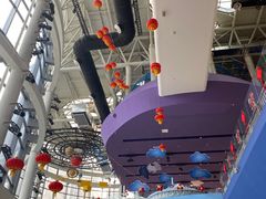 -呼和浩特市老牛儿童探索馆